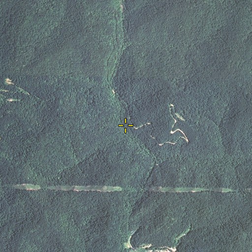 Aerial/Satellite Image of Long Branch, KY