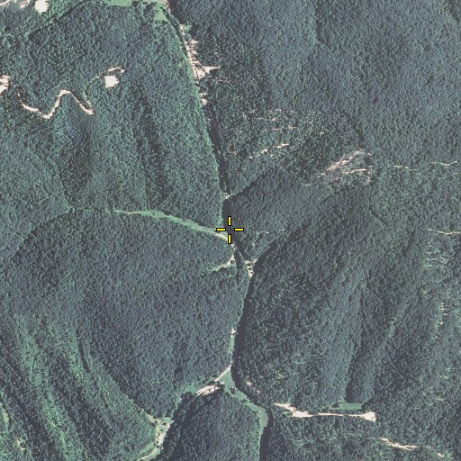 Aerial/Satellite Image of Long Branch, KY