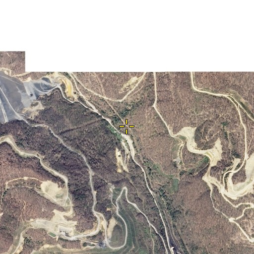 Aerial/Satellite Image of Long Branch, KY