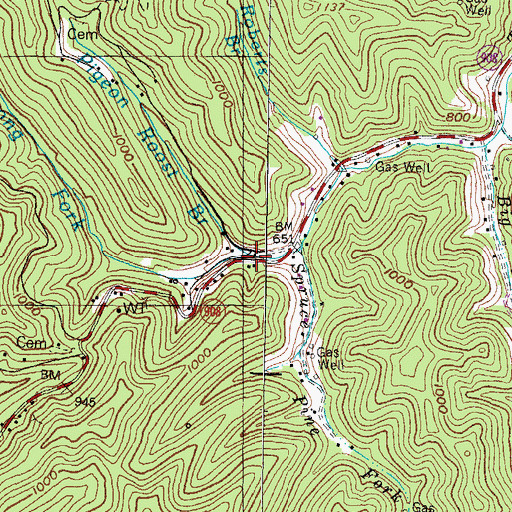 Topographic Map of Long Fork, KY