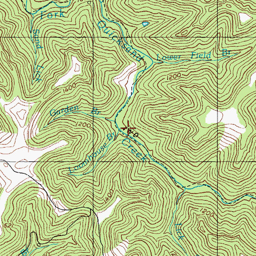 Topographic Map of Loomhouse Branch, KY