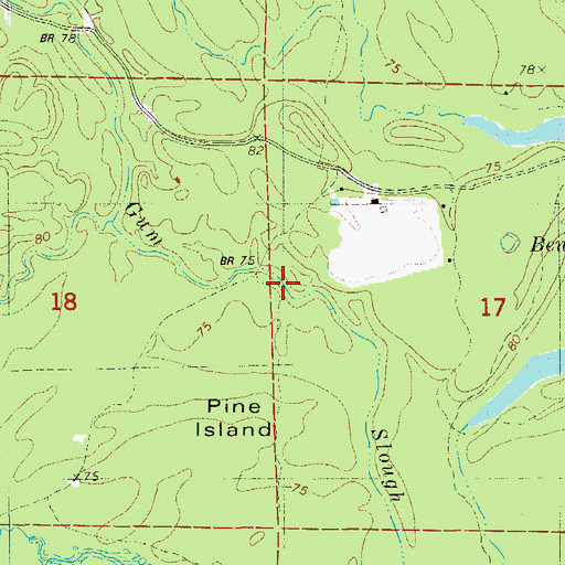 Topographic Map of Gum Slough, AR