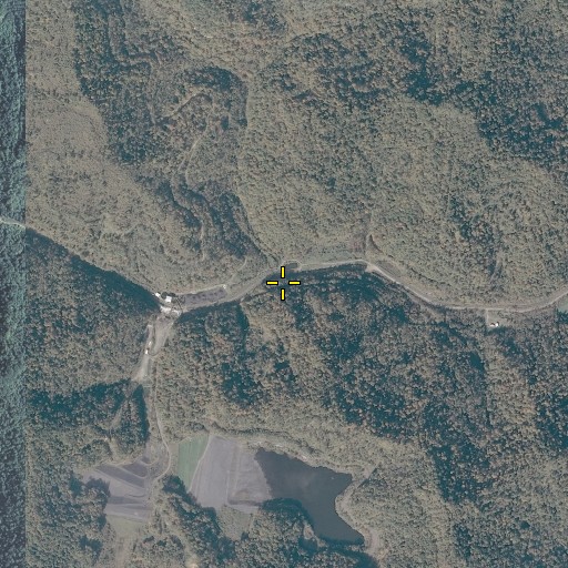Aerial/Satellite Image of Low Gap Fork, KY