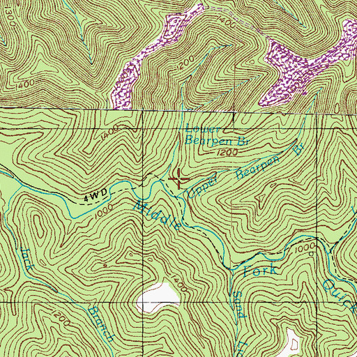 Topographic Map of Lower Bearpen Branch, KY