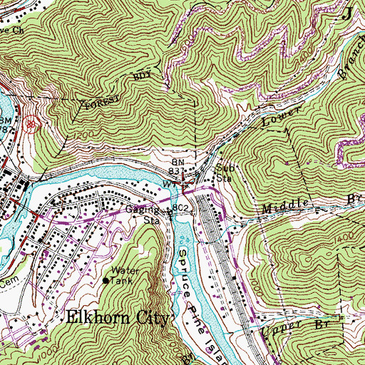 Topographic Map of Lower Branch, KY