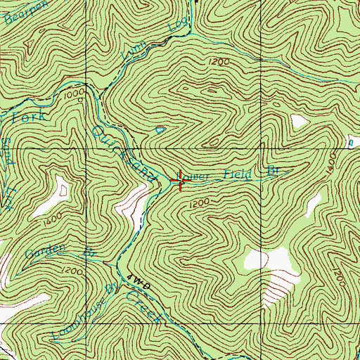 Topographic Map of Lower Field Branch, KY