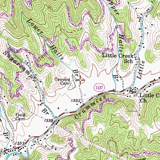 Topographic Map of Lower Halls Branch, KY