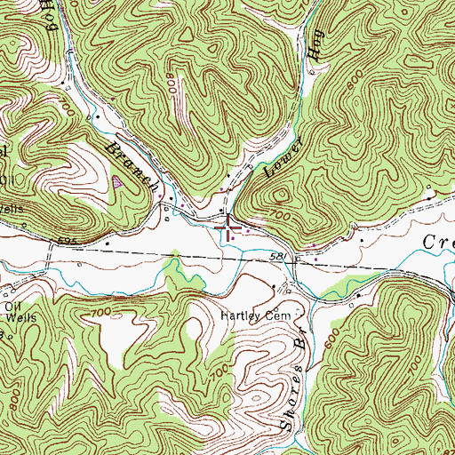 Topographic Map of Lower Hog Branch, KY