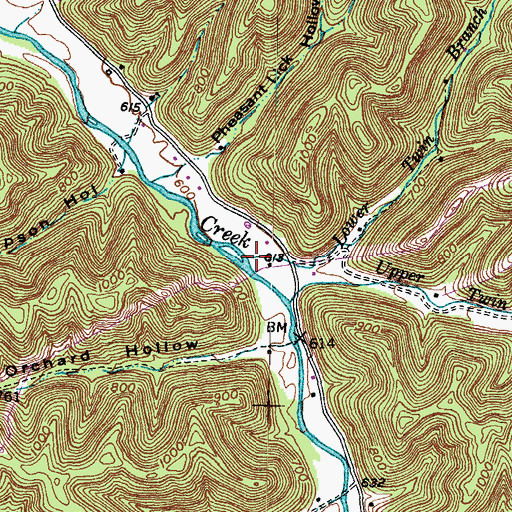 Topographic Map of Lower Twin Branch, KY