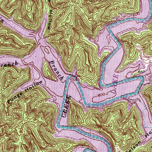 Topographic Map of Lower Twin Branch, KY