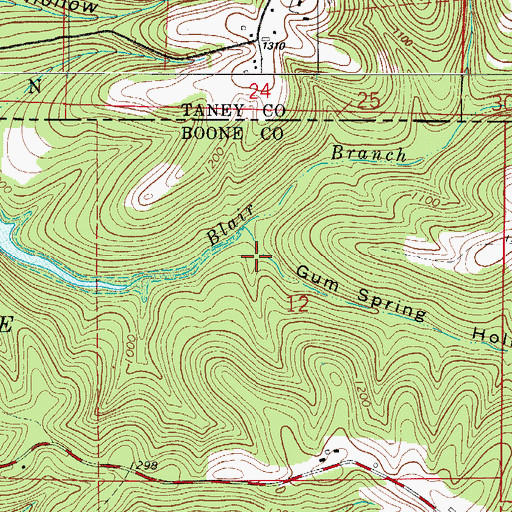Topographic Map of Gum Spring Hollow, AR