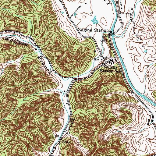 Topographic Map of Lynam Creek, KY