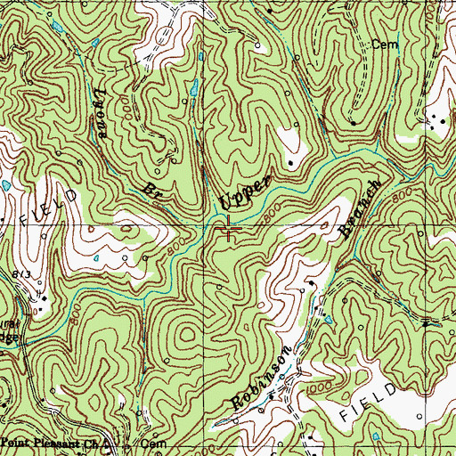 Topographic Map of Lyons Branch, KY