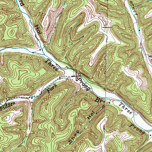 Topographic Map of Madden Fork, KY