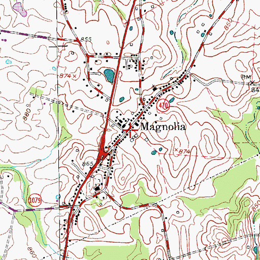 Topographic Map of Magnolia, KY