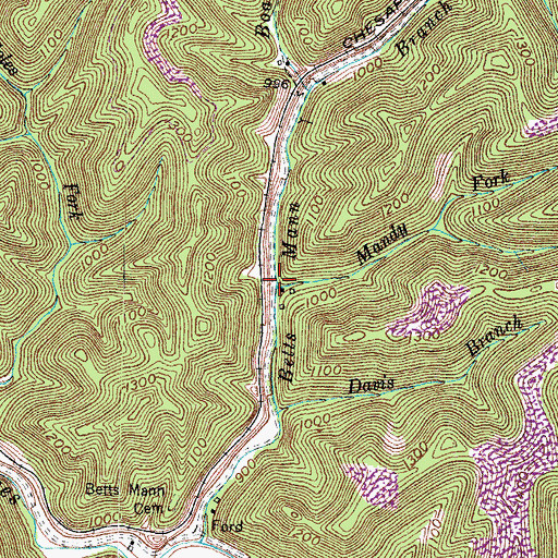 Topographic Map of Mandy Fork, KY