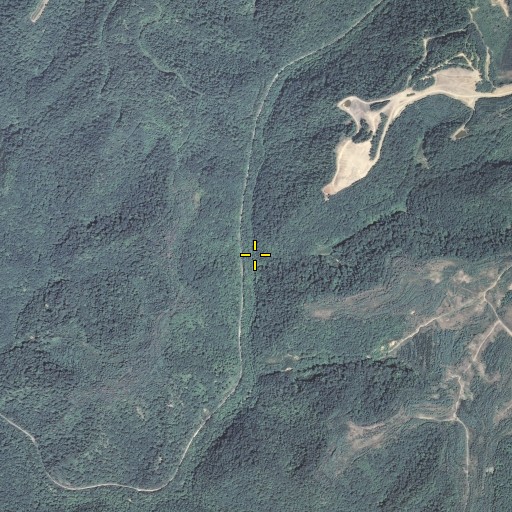 Aerial/Satellite Image of Mandy Fork, KY