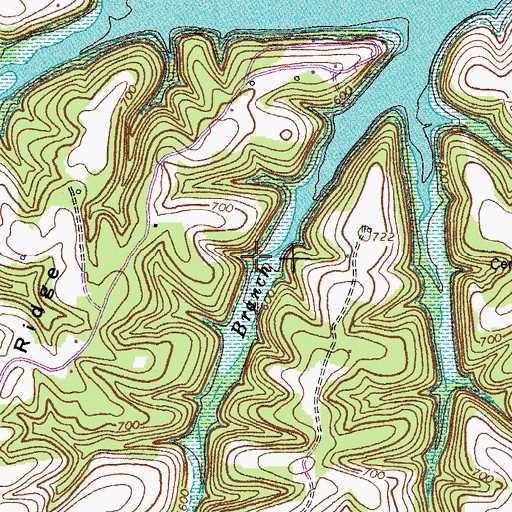 Topographic Map of Manley Branch, KY
