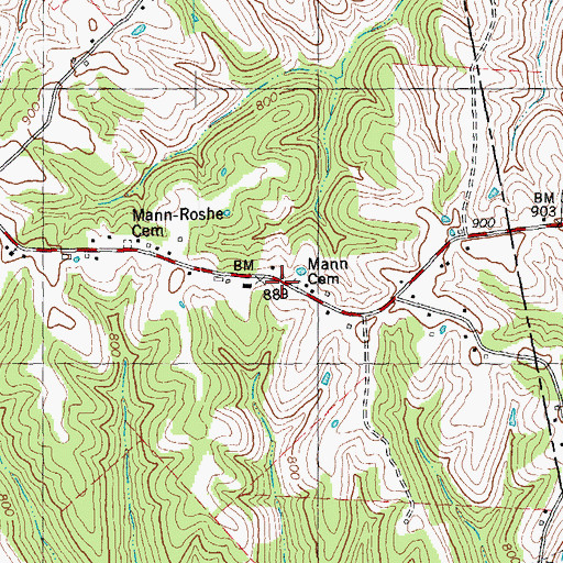 Topographic Map of Mann Cemetery, KY