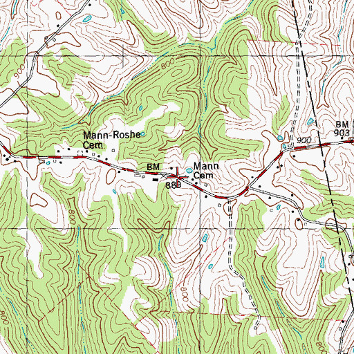 Topographic Map of Mann Cemetery, KY