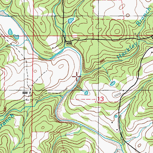 Topographic Map of Hackley Branch, AR