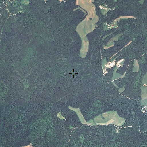 Aerial/Satellite Image of Mart Bear Branch, KY