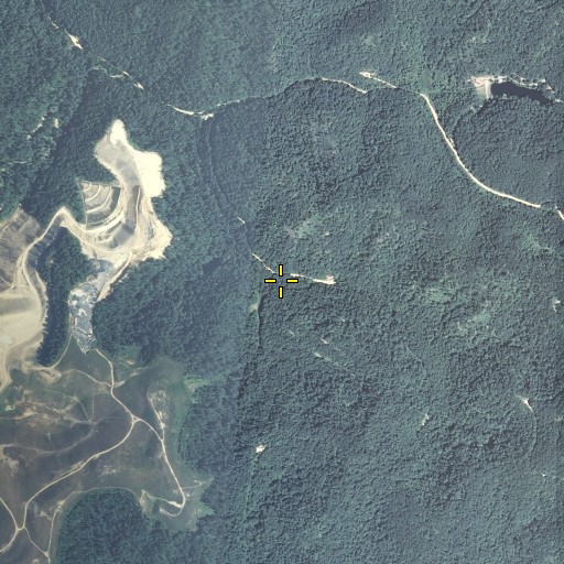 Aerial/Satellite Image of Mart Branch, KY