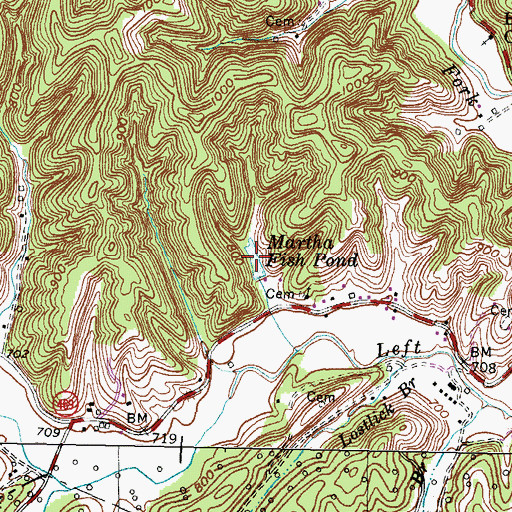 Topographic Map of Martha Fish Pond, KY