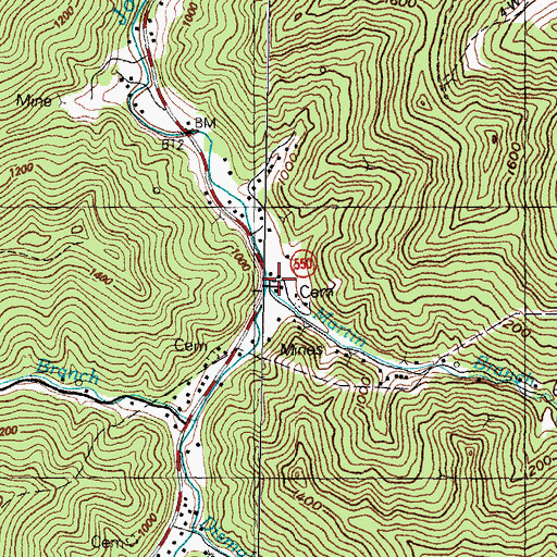 Topographic Map of Martin Branch, KY