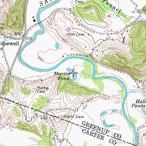 Topographic Map of Martin Pond, KY