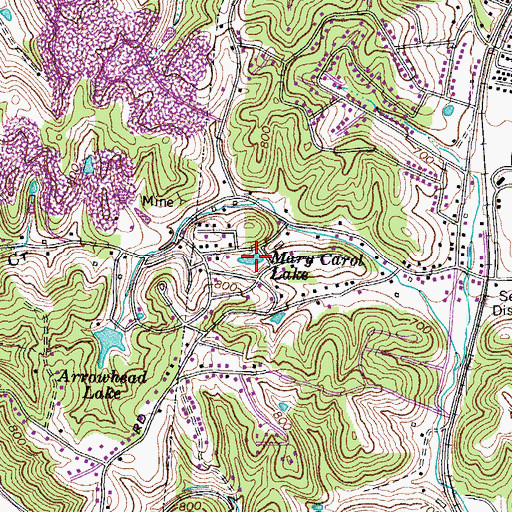 Topographic Map of Mary Carol Lake, KY