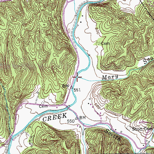Topographic Map of Mary Scott Branch, KY
