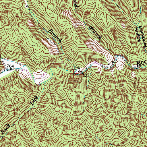 Topographic Map of Matthews Branch, KY