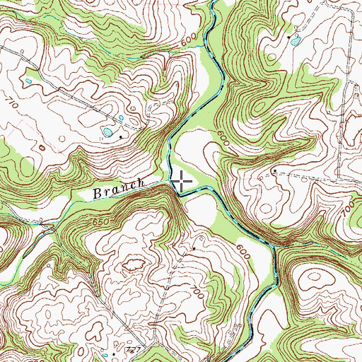 Topographic Map of Mays Branch, KY