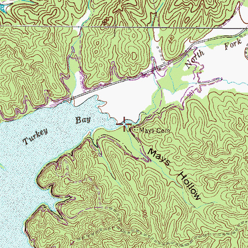Topographic Map of Mays Hollow, KY