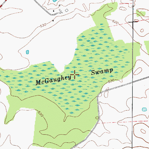 Topographic Map of McGaughey Swamp, KY