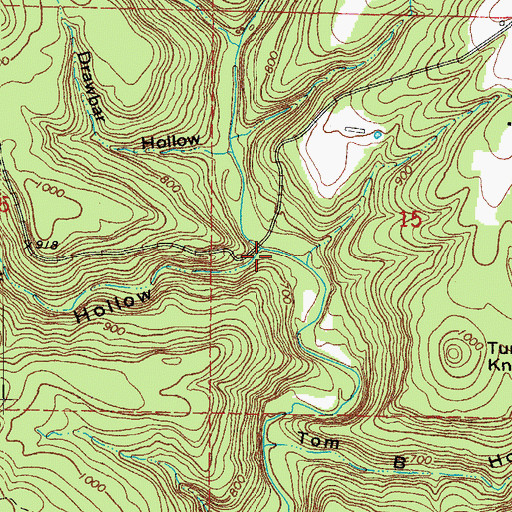 Topographic Map of Hallmark Hollow, AR