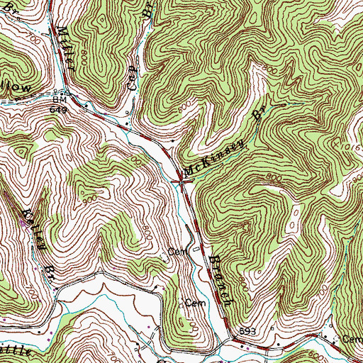 Topographic Map of McKinsey Branch, KY