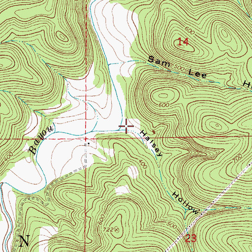 Topographic Map of Halsey Hollow, AR