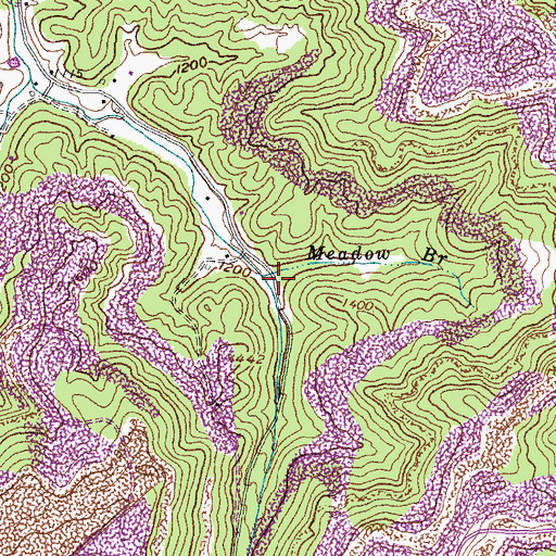 Topographic Map of Meadow Branch, KY