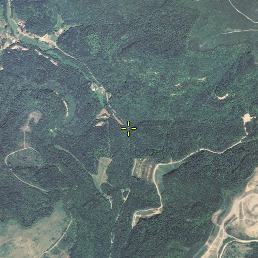 Aerial/Satellite Image of Meadow Branch, KY