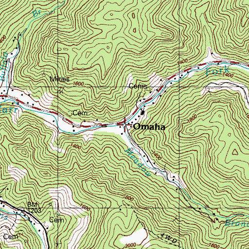 Topographic Map of Meadow Branch, KY