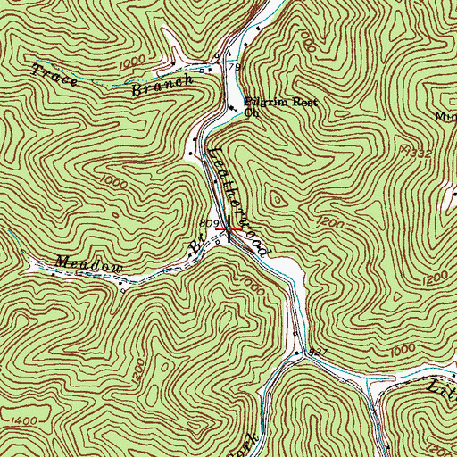 Topographic Map of Meadow Branch, KY