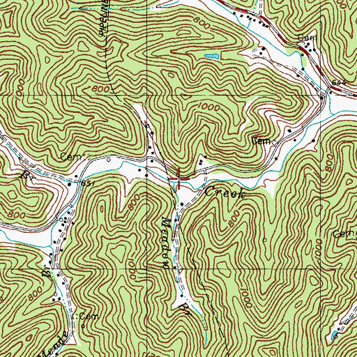 Topographic Map of Meadow Branch, KY