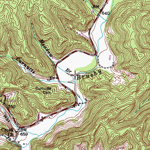 Topographic Map of Meadow Branch, KY