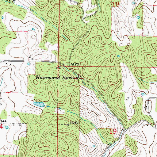 Topographic Map of Hammond Spring, AR