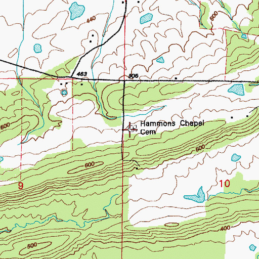 Topographic Map of Hammons Chapel Cemetery, AR