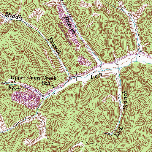 Topographic Map of Middle Branch Left Fork Cains Creek, KY