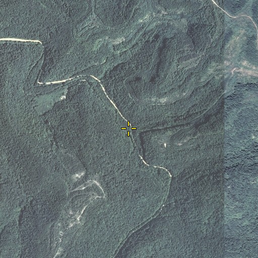 Aerial/Satellite Image of Mill Branch, KY