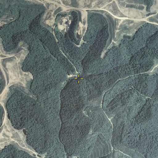 Aerial/Satellite Image of Miller Branch, KY